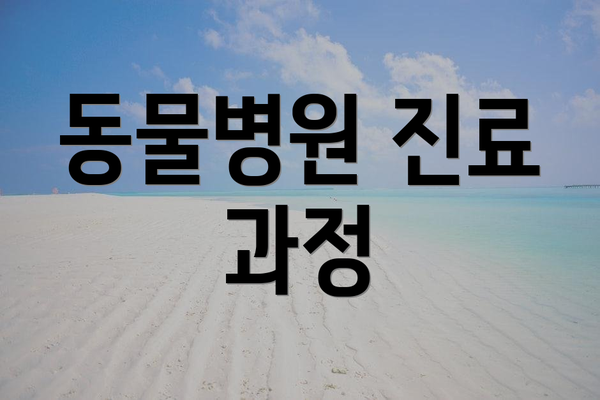 동물병원 진료 과정
