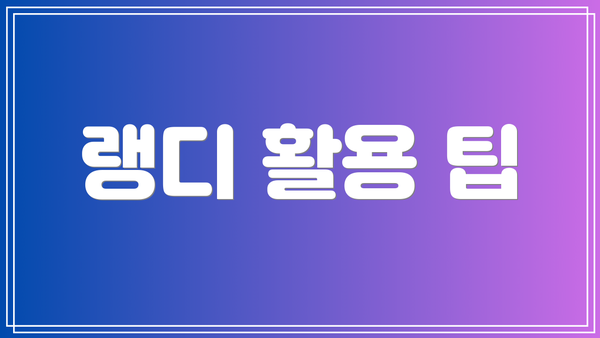 랭디 활용 팁