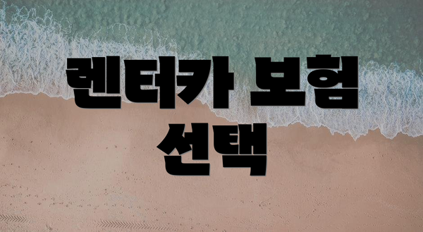 렌터카 보험 선택