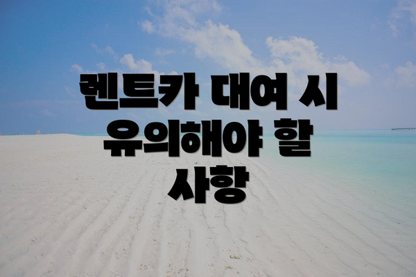 렌트카 대여 시 유의해야 할 사항