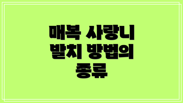 매복 사랑니 발치 방법의 종류