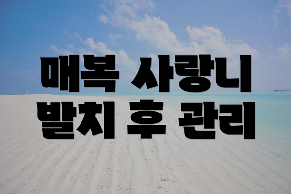 매복 사랑니 발치 후 관리