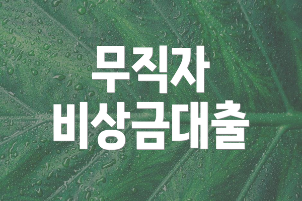 무직자 비상금대출