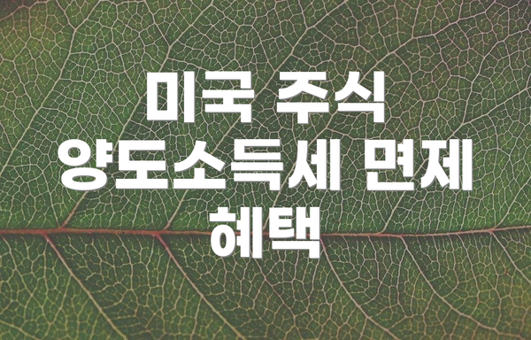 미국 주식 양도소득세 면제 혜택