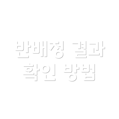 반배정 결과 확인 방법