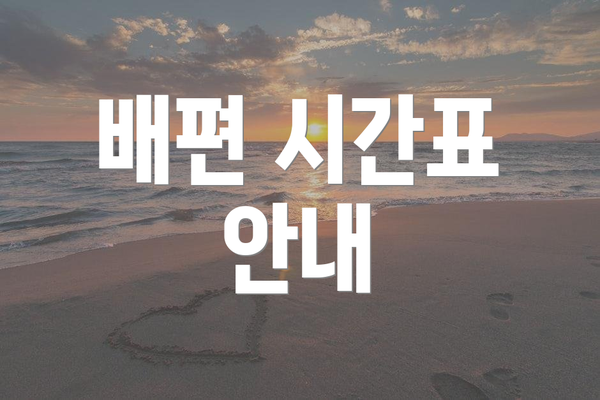 배편 시간표 안내