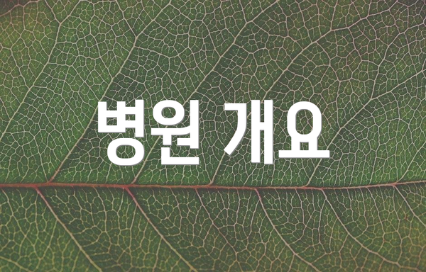 병원 개요