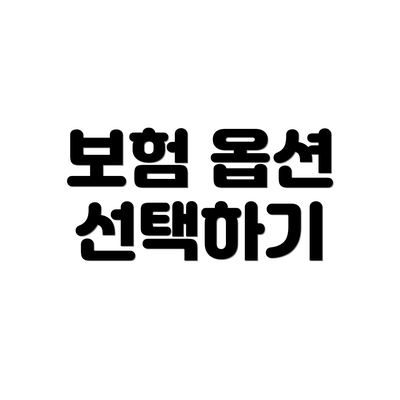 보험 옵션 선택하기