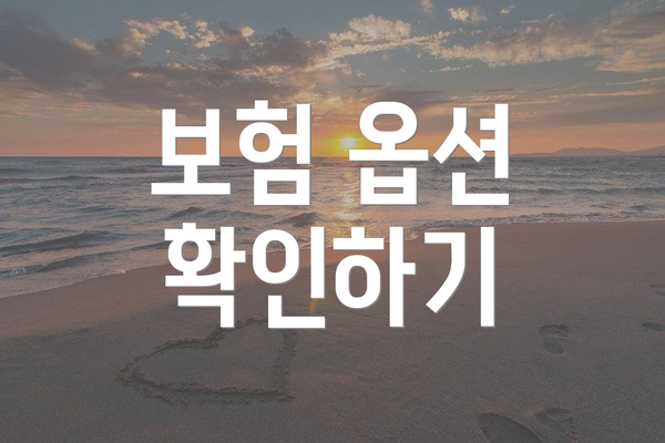 보험 옵션 확인하기