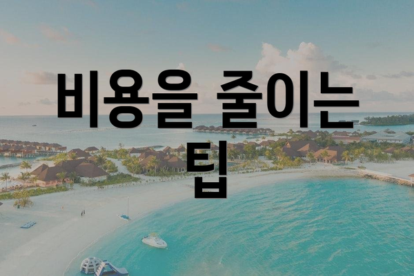 비용을 줄이는 팁