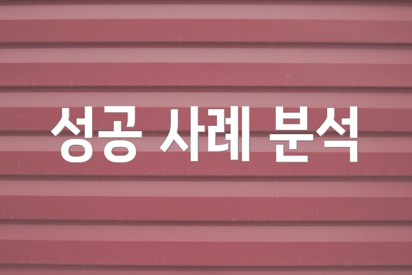 성공 사례 분석