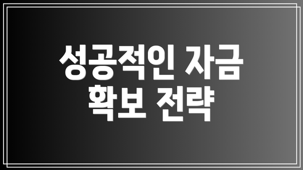 성공적인 자금 확보 전략