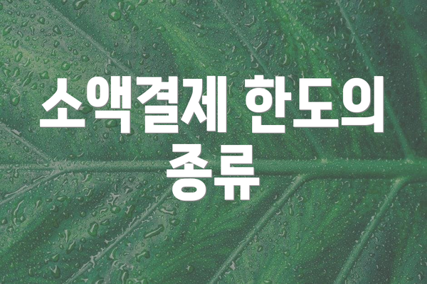 소액결제 한도의 종류
