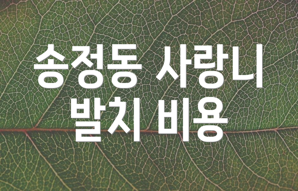 송정동 사랑니 발치 비용