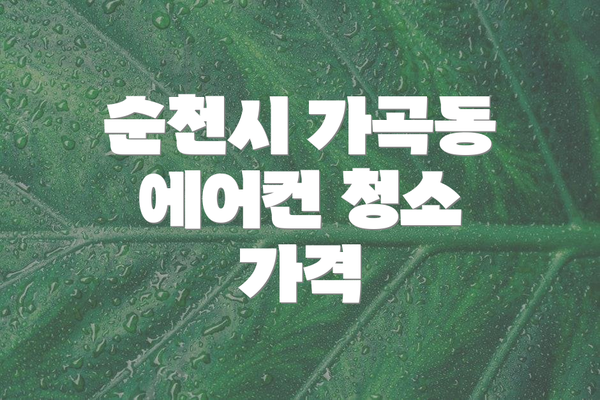순천시 가곡동 에어컨 청소 가격