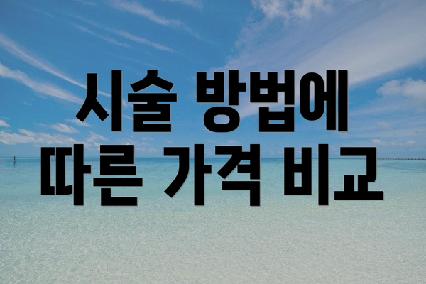 시술 방법에 따른 가격 비교