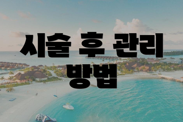 시술 후 관리 방법