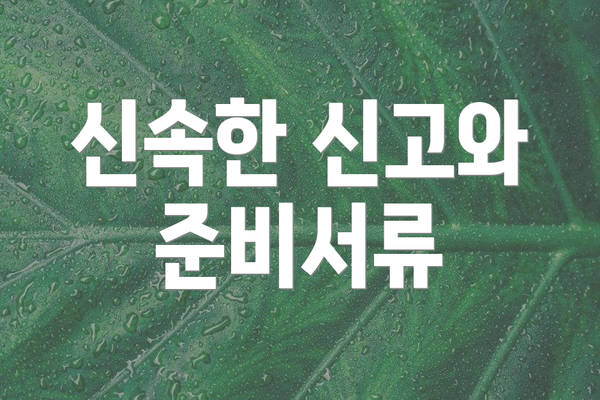 신속한 신고와 준비서류