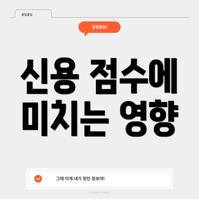 신용 점수에 미치는 영향
