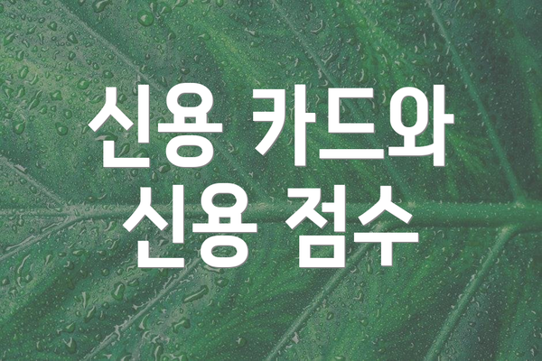 신용 카드와 신용 점수