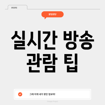 실시간 방송 관람 팁