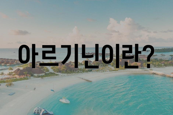 아르기닌이란?