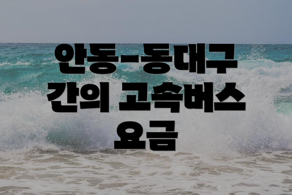 안동-동대구 간의 고속버스 요금
