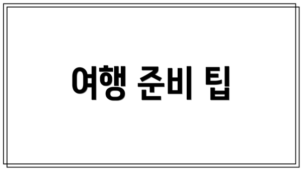 여행 준비 팁