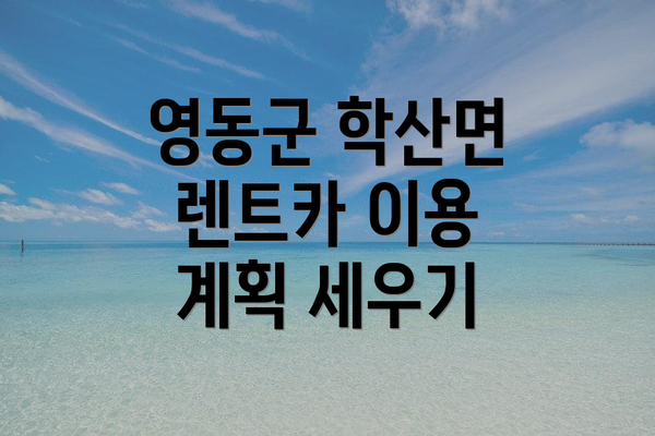 영동군 학산면 렌트카 이용 계획 세우기