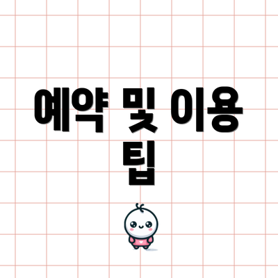 예약 및 이용 팁