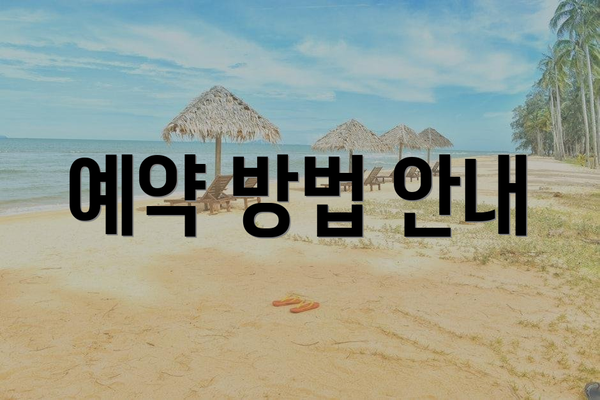 예약 방법 안내