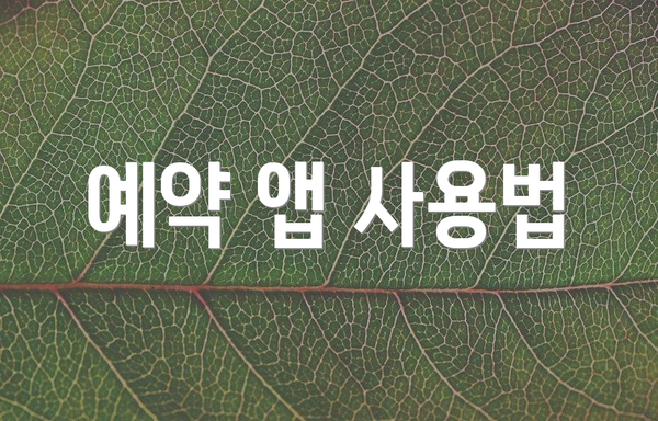 예약 앱 사용법