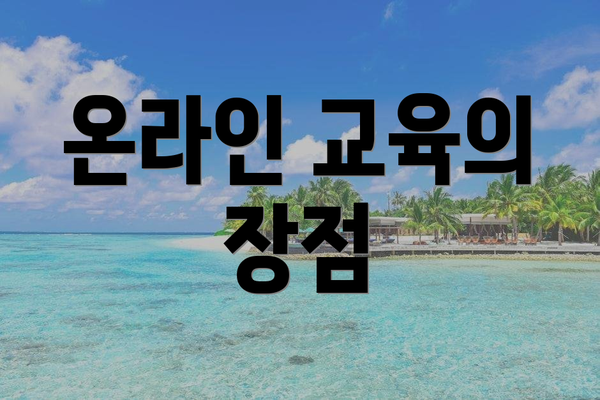 온라인 교육의 장점