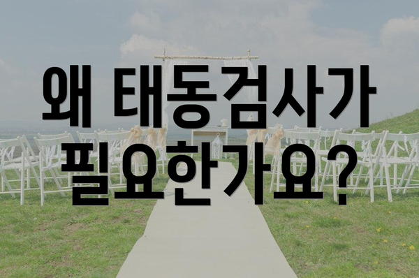 왜 태동검사가 필요한가요?