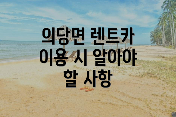 의당면 렌트카 이용 시 알아야 할 사항