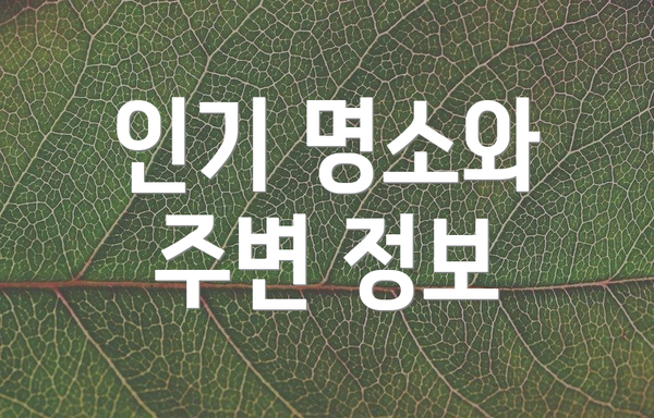 인기 명소와 주변 정보