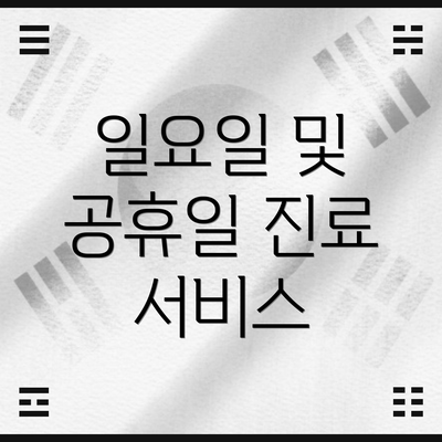 일요일 및 공휴일 진료 서비스