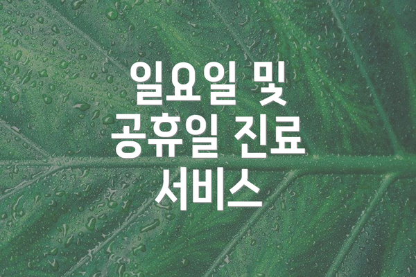 일요일 및 공휴일 진료 서비스