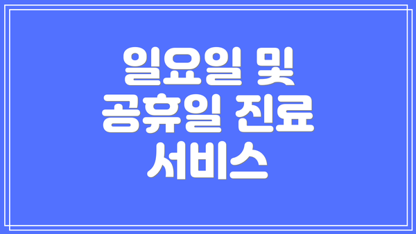 일요일 및 공휴일 진료 서비스