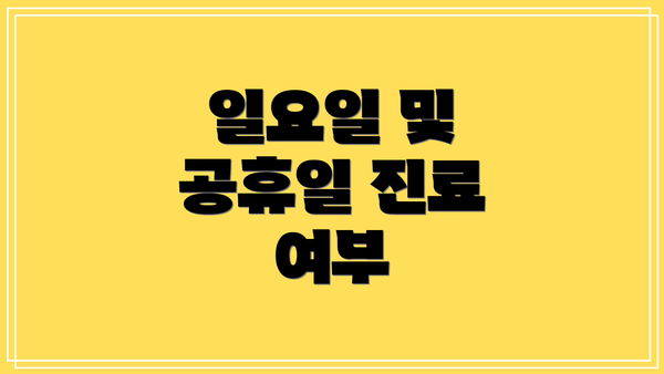 일요일 및 공휴일 진료 여부