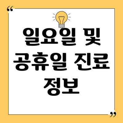 일요일 및 공휴일 진료 정보