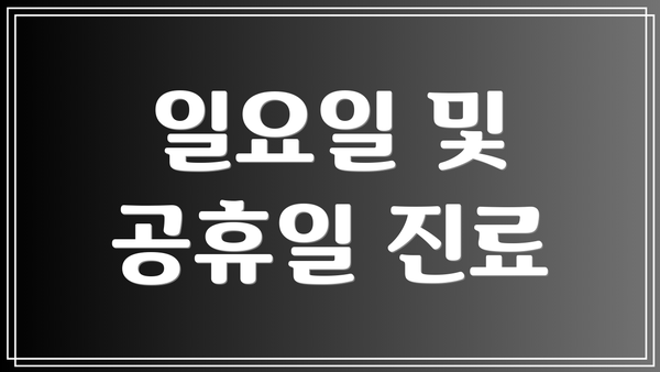 일요일 및 공휴일 진료