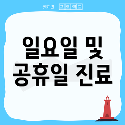 일요일 및 공휴일 진료