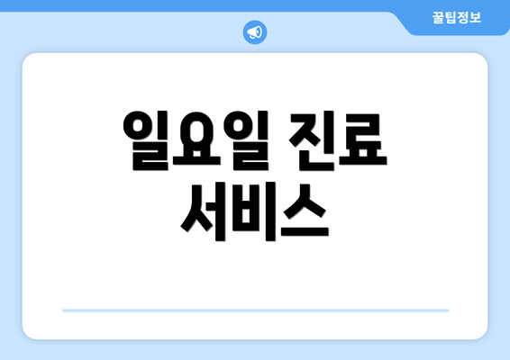 일요일 진료 서비스