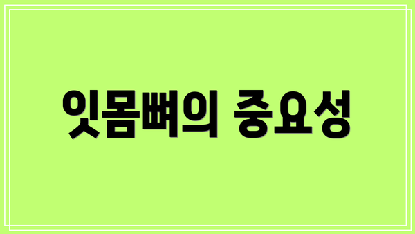 잇몸뼈의 중요성