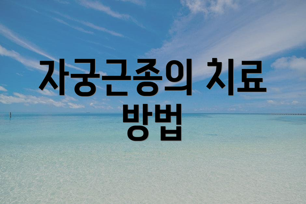 자궁근종의 치료 방법