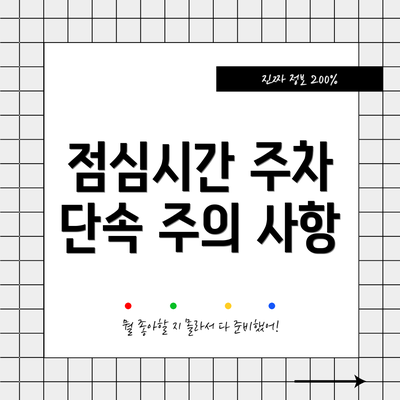 점심시간 주차 단속 주의 사항