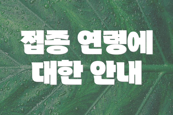 접종 연령에 대한 안내