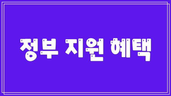 정부 지원 혜택