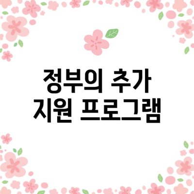 정부의 추가 지원 프로그램